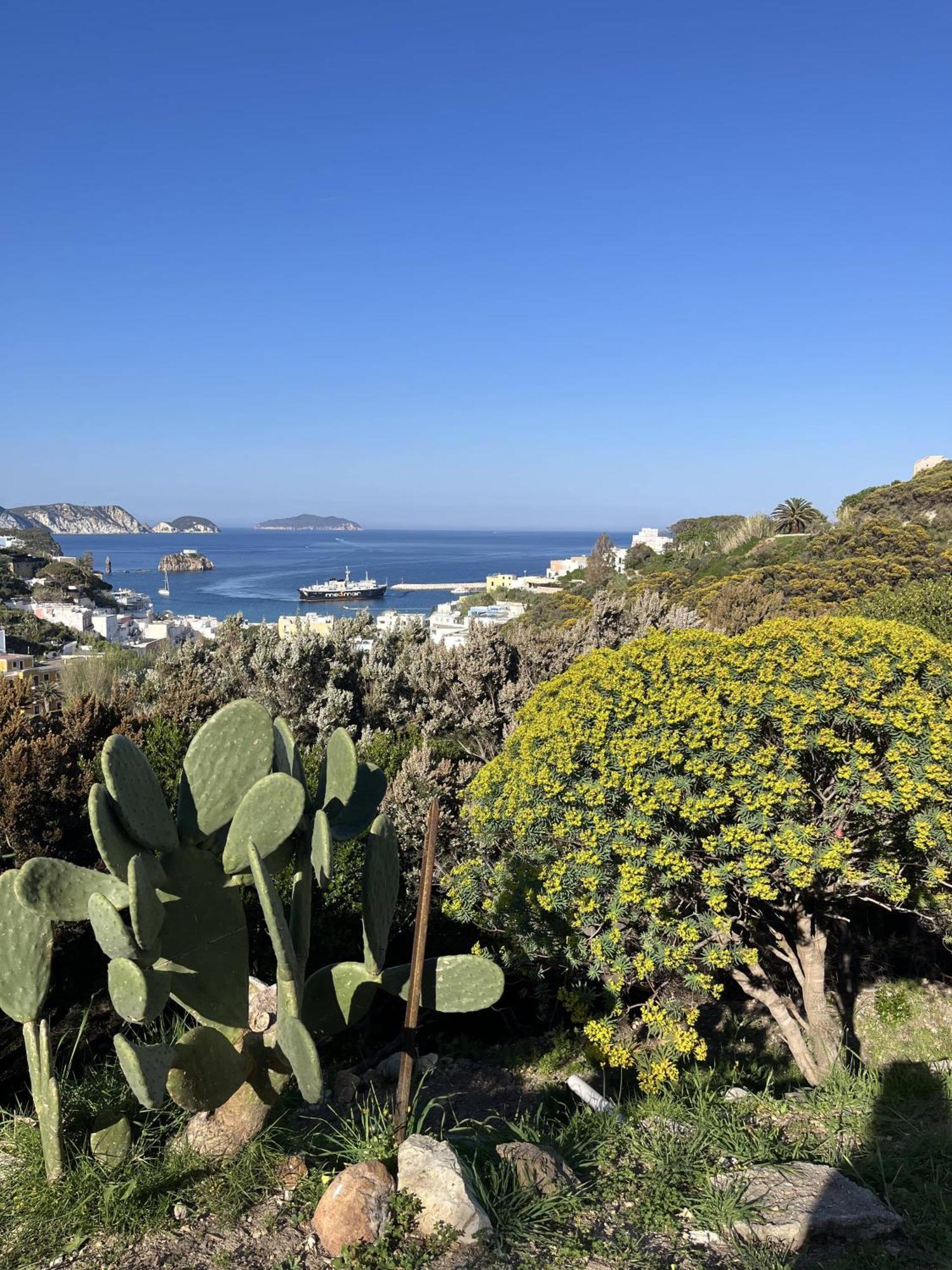 Il Mirto Villa Ponza Exterior foto