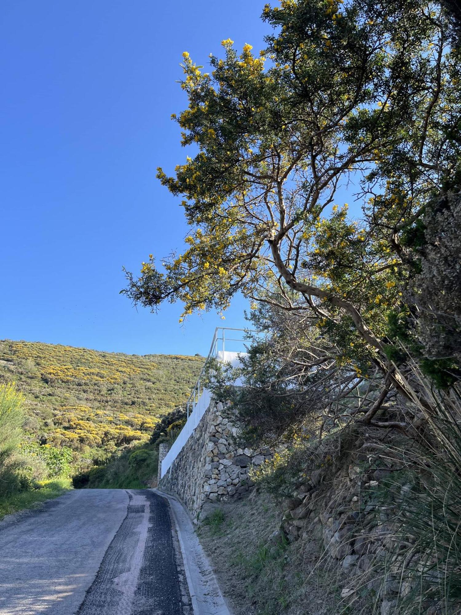 Il Mirto Villa Ponza Exterior foto